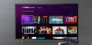 Come disattivare la voce su Roku: come disattivare l’audioguida di Roku, in modo che smetta di parlarti