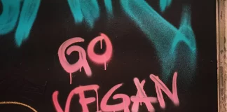 Le migliori crocchette di pollo a base vegetale che dovresti provare