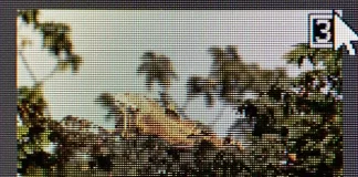 Qual è la differenza tra JPG e JPEG, spiegato