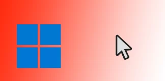 Come utilizzare un cursore personalizzato in Windows