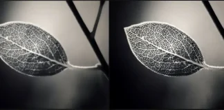 Qual è l’impostazione della nitidezza su una TV