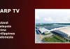 Chi produce i televisori Sharp e dove vengono fabbricati?