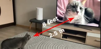 Distanza di visione di un televisore da 65 pollici